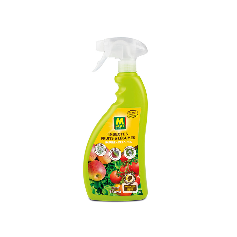 insecte fruiter