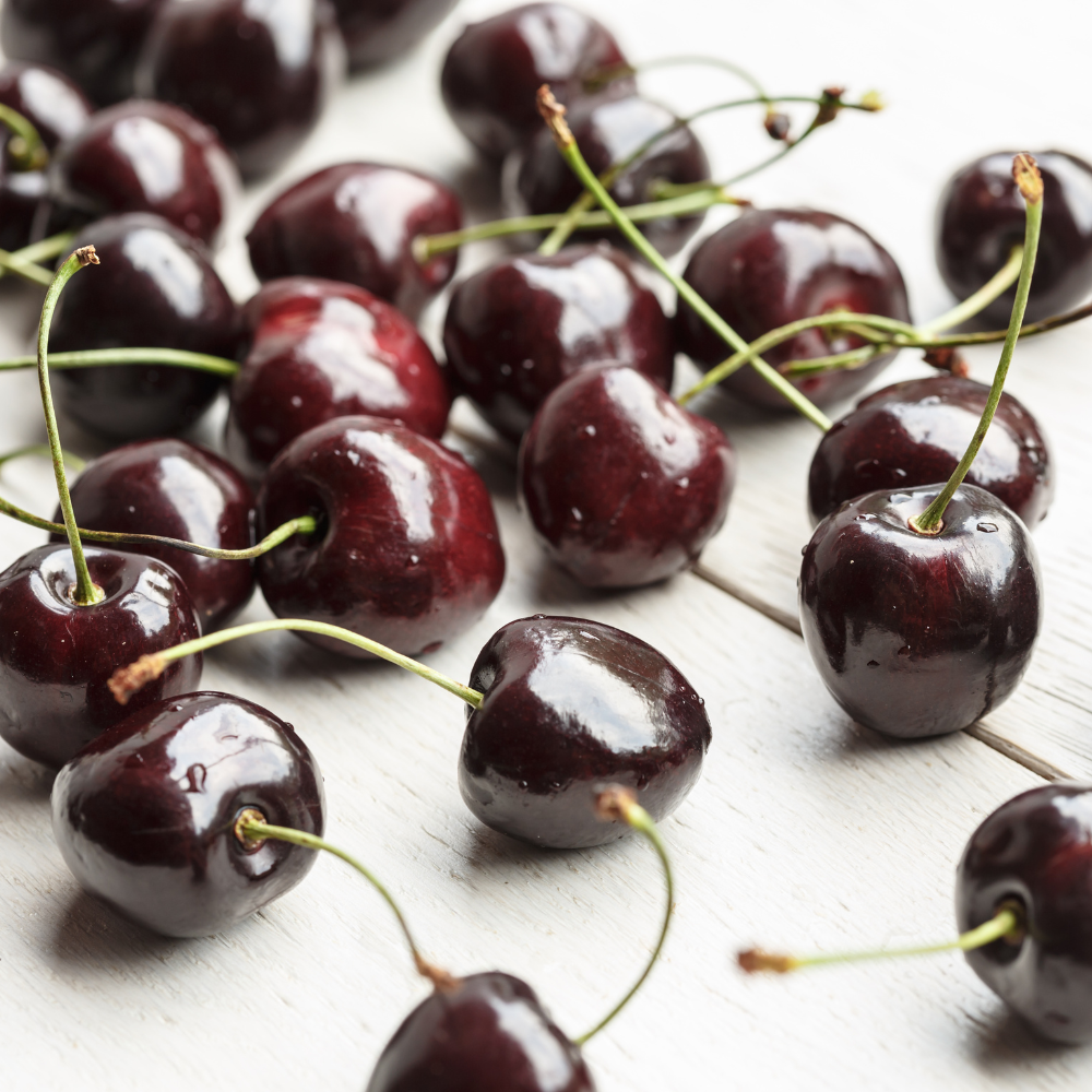 Récolte abondante de délicieuses cerises Kordia bien fraîches