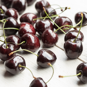 Récolte abondante de délicieuses cerises Kordia bien fraîches