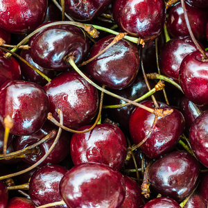 Récolte abondante de délicieuses cerises Bigarreau Burlat fraîches